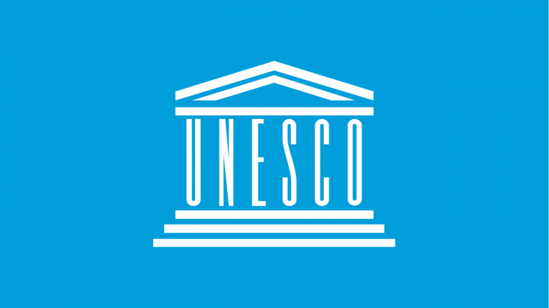 UNESCO: 290 milionů studujících doma