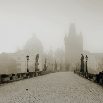 Právě vychazí: Mezi solidaritou a zklamáním Česko v době covidové a postcovidové